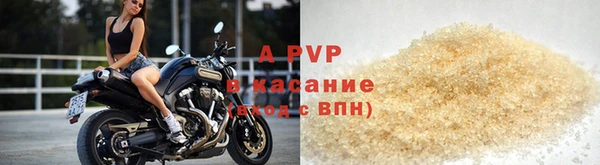шишки Гусиноозёрск