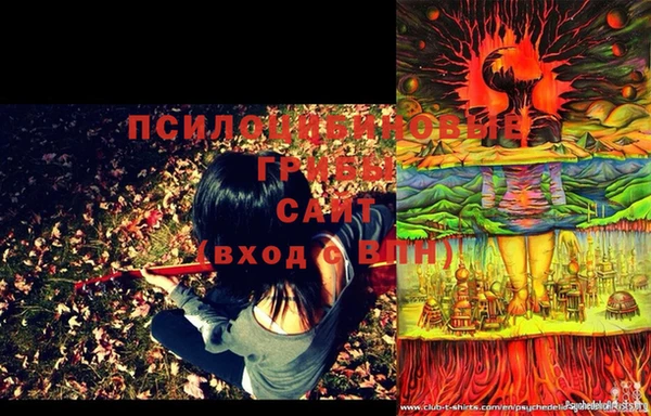 экстази Михайлов