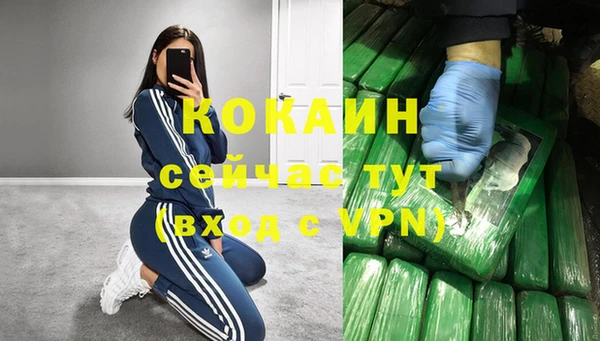 шишки Гусиноозёрск