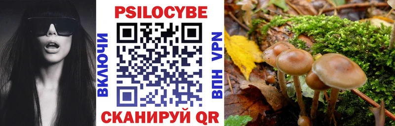 Галлюциногенные грибы Psilocybine cubensis купить наркотик mega вход Дмитровск